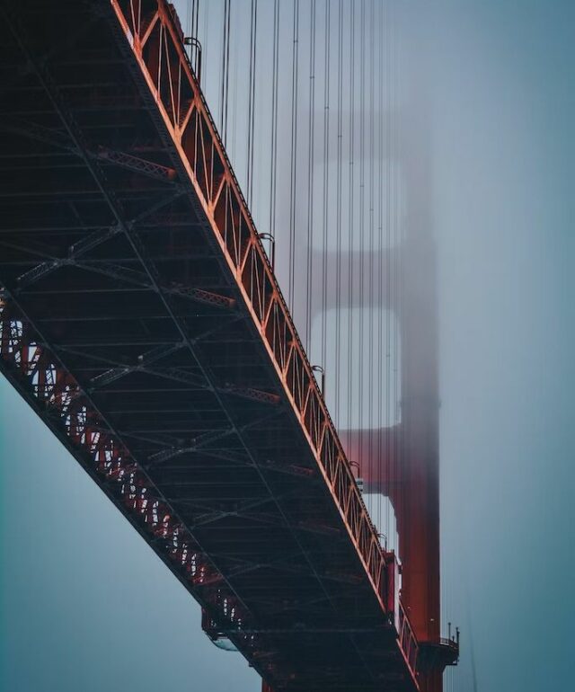 bailey-anselme-rifTFcRLNuo-unsplash-1